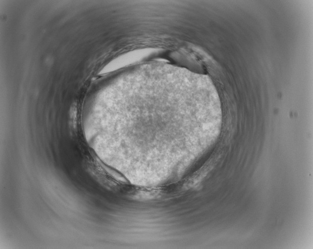 X0000085750720200704131711