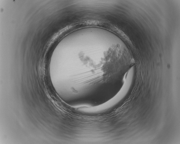 X0000085750722200704131710