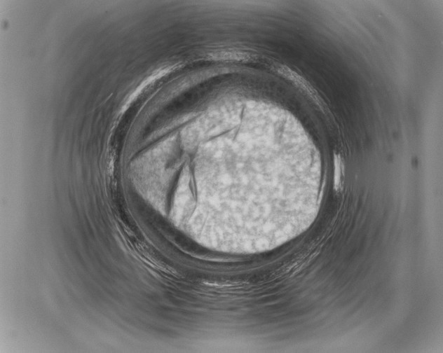 X0000085750723200704131710