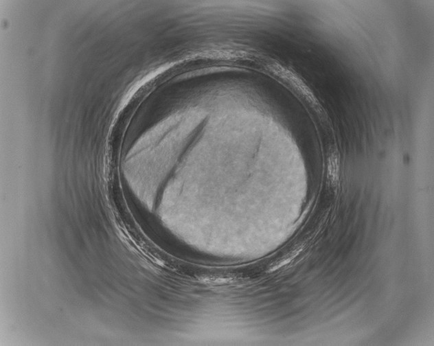 X0000085750724200704131710