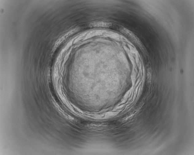 X0000085750725200704131710