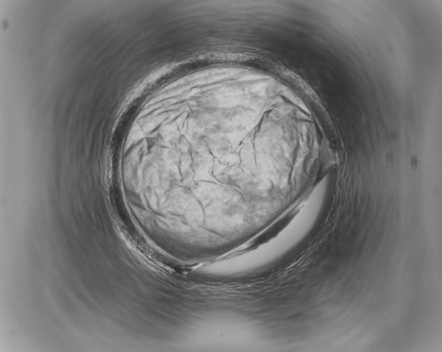 X0000085750726200704131710