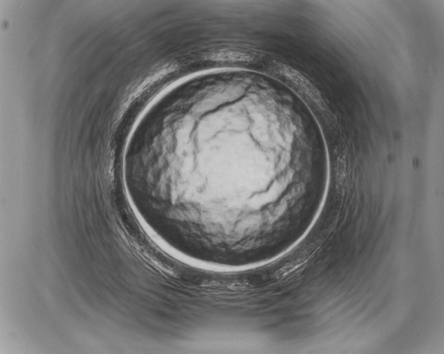 X0000085750727200704131710