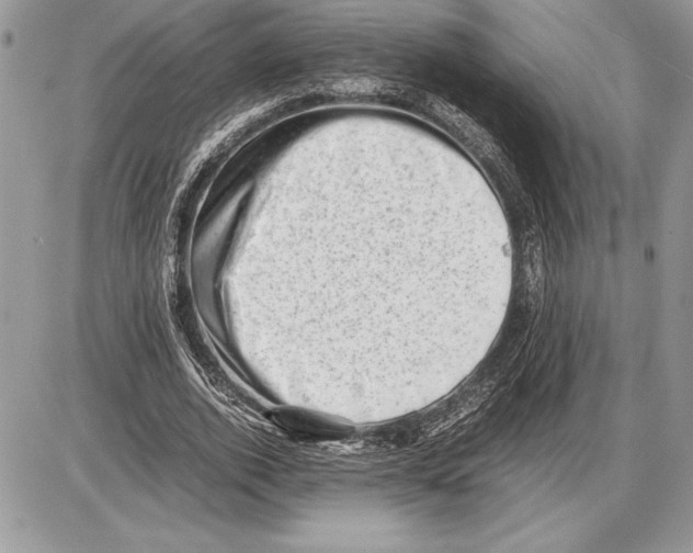 X0000085750728200704131710