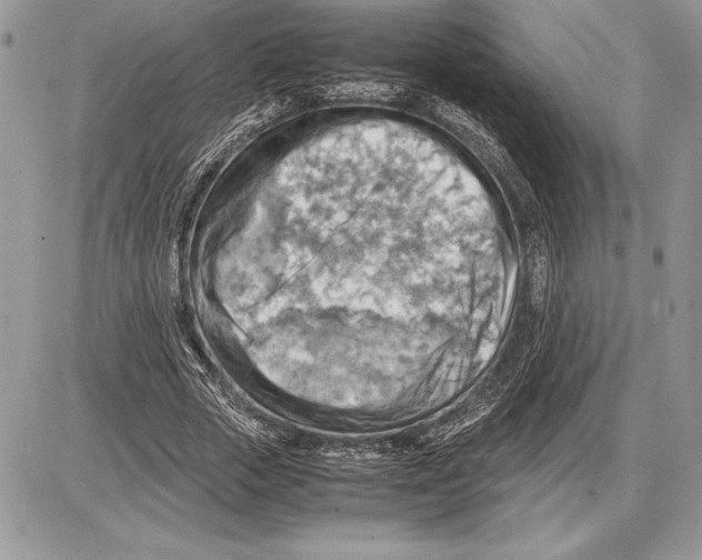 X0000085750729200704131710