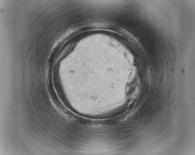 X0000085750730200704131710