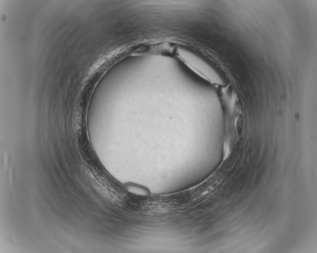 X0000085750732200704131710