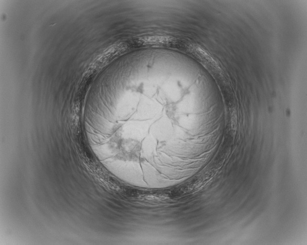 X0000085750737200704131710