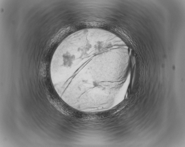 X0000085750738200704131710