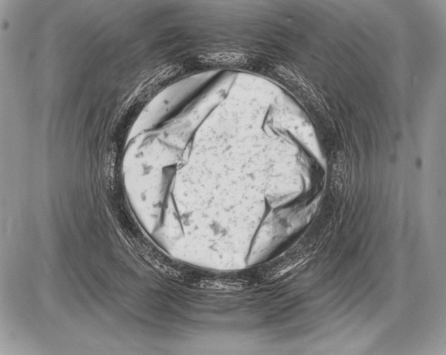 X0000085750739200704131710