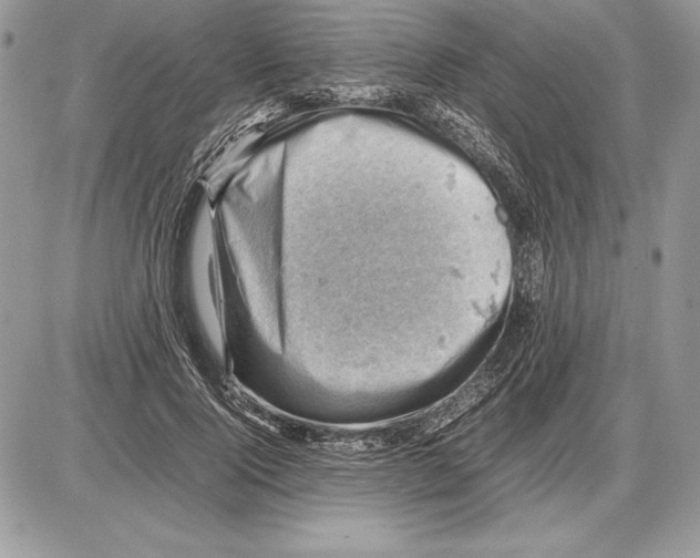 X0000085750740200704131710