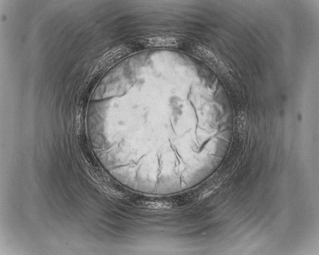 X0000085750741200704131711