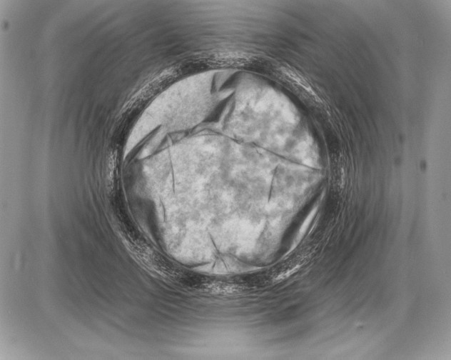 X0000085750742200704131711