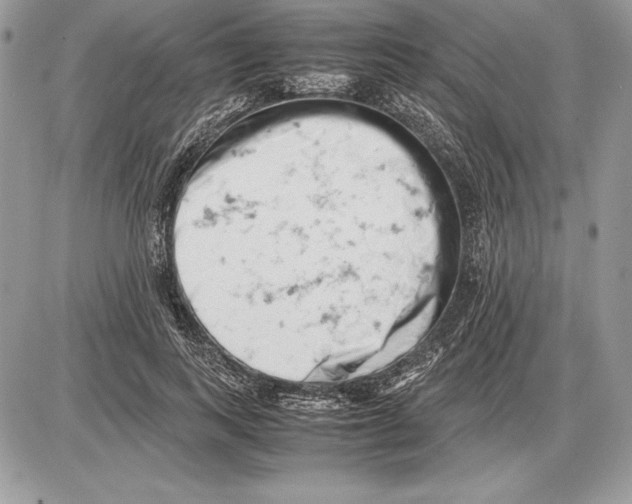 X0000085750743200704131711