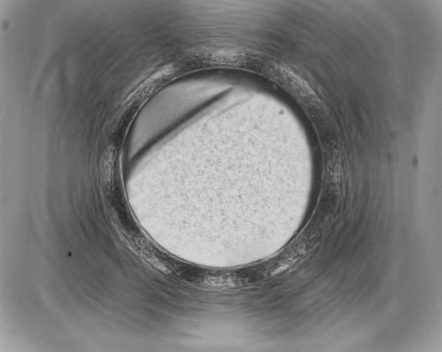 X0000085750744200704131711