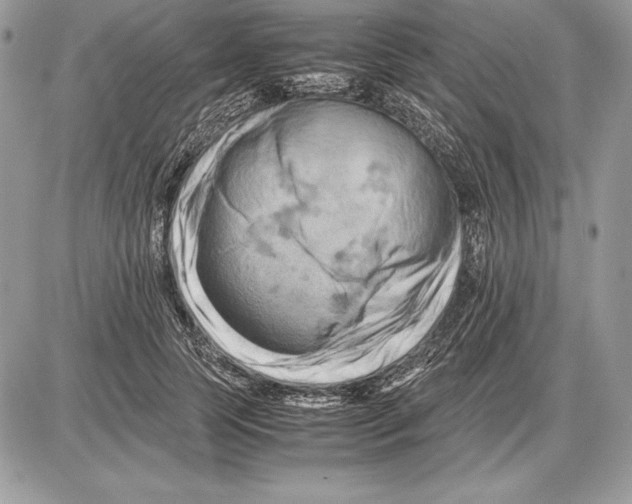 X0000085750745200704131711