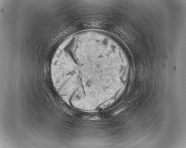 X0000085750747200704131711