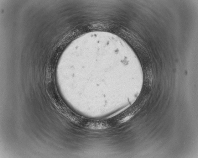 X0000085750751200704131711