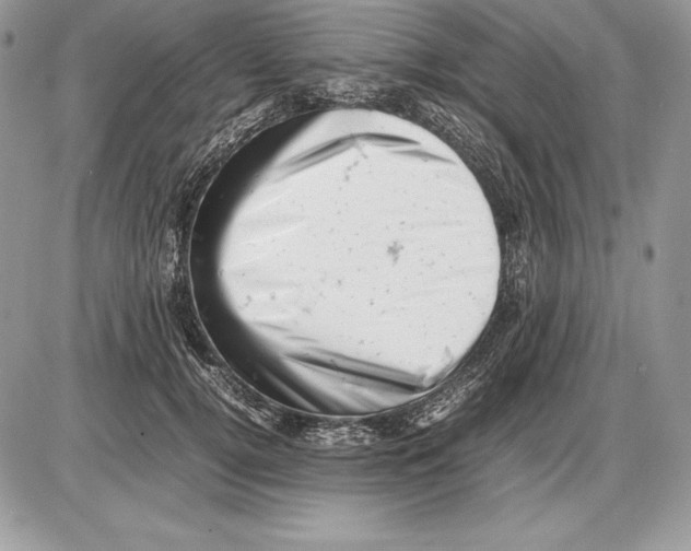 X0000085750752200704131711