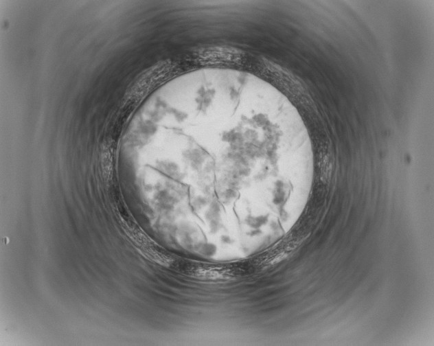 X0000085750753200704131711