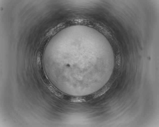 X0000085750754200704131711