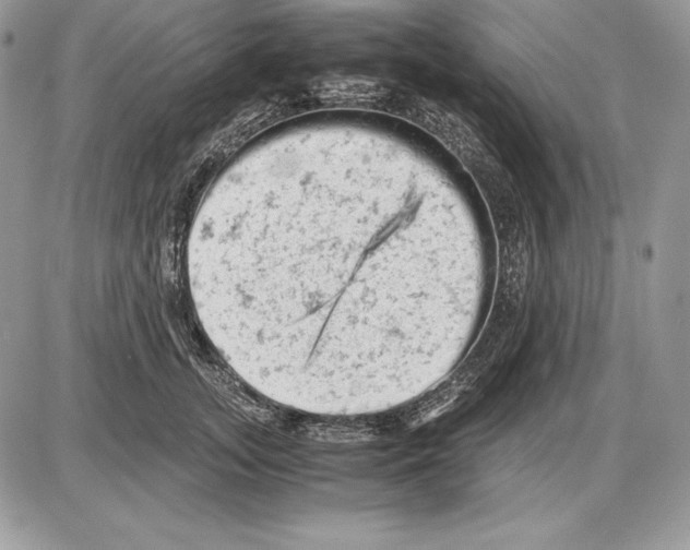 X0000085750755200704131711