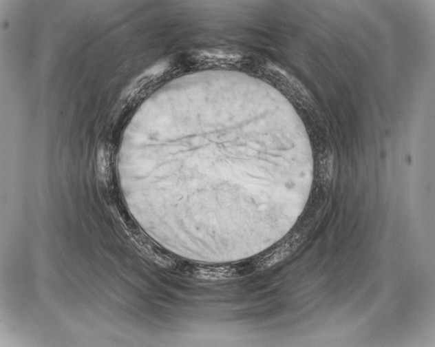 X0000085750757200704131711