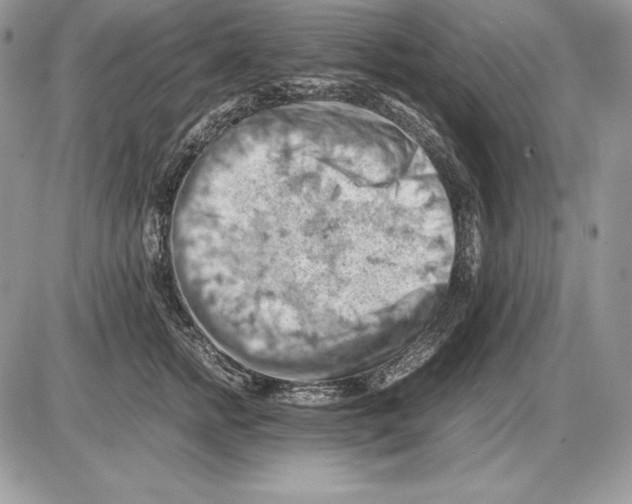 X0000085750758200704131711