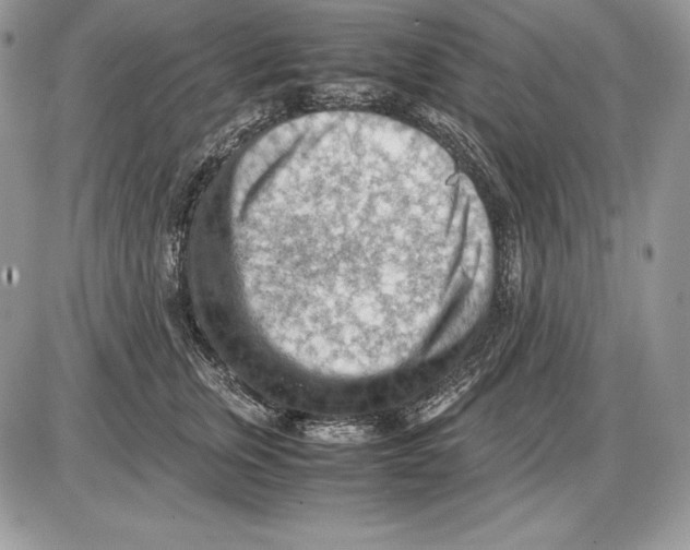 X0000085750759200704131711