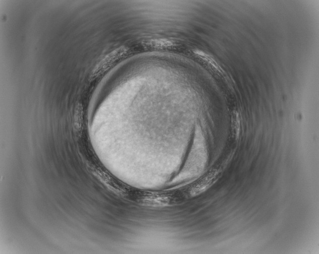 X0000085750760200704131711