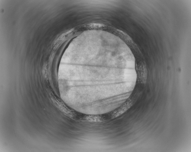 X0000085750762200704131711