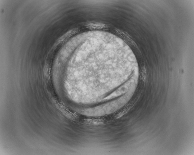 X0000085750763200704131711