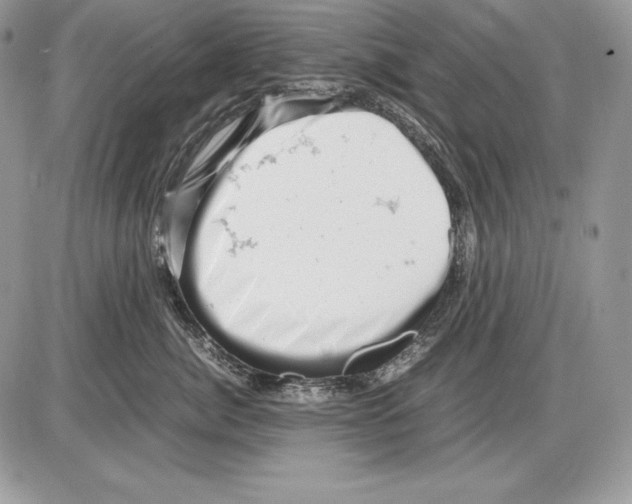 X0000085750764200704131711