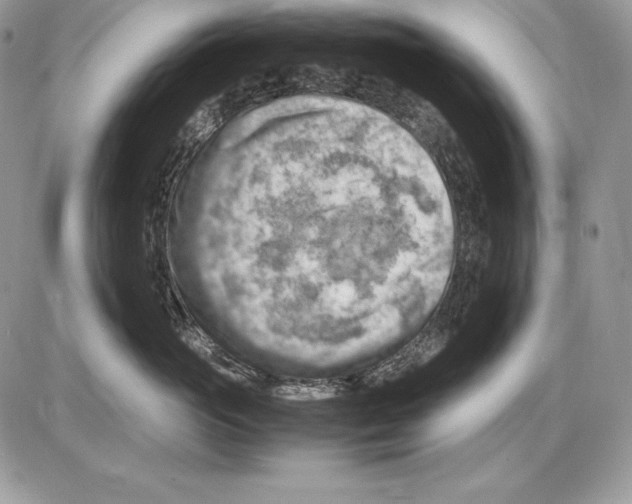 X0000085750765200704131711