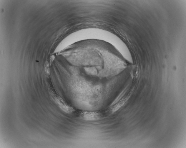 X0000085750766200704131711