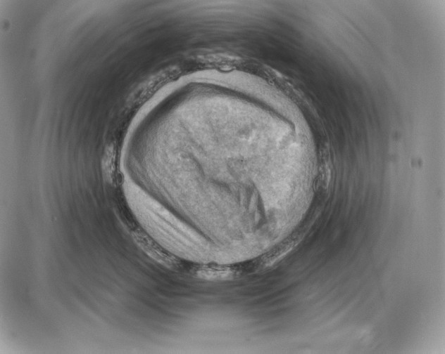 X0000085750767200704131711