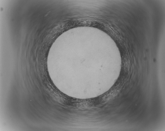 X0000085750769200704131710