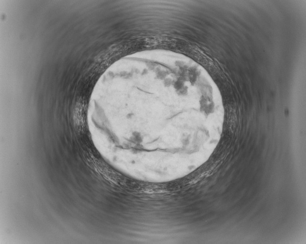 X0000085750770200704131710