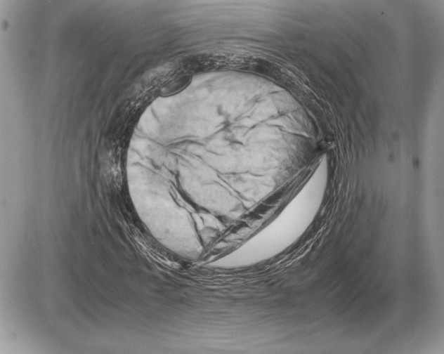 X0000085750771200704131710