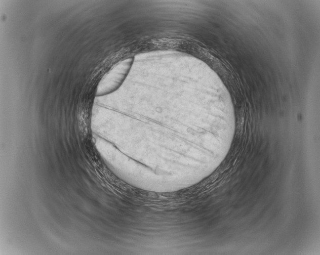 X0000085750772200704131710