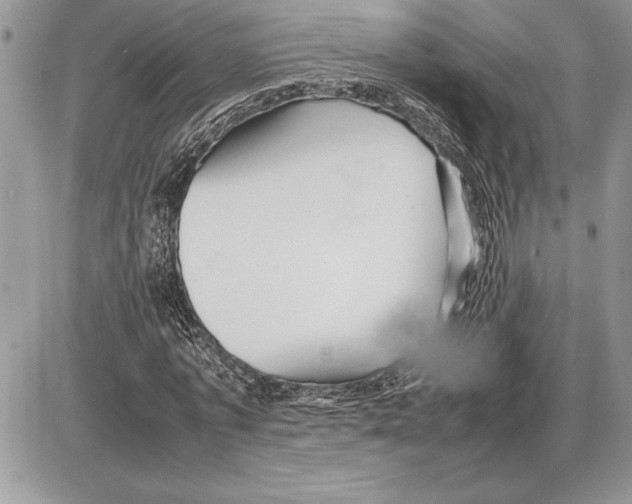 X0000085750773200704131710