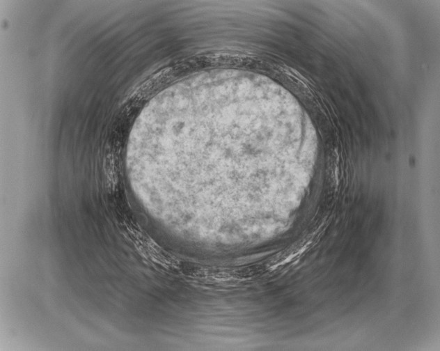 X0000085750774200704131710