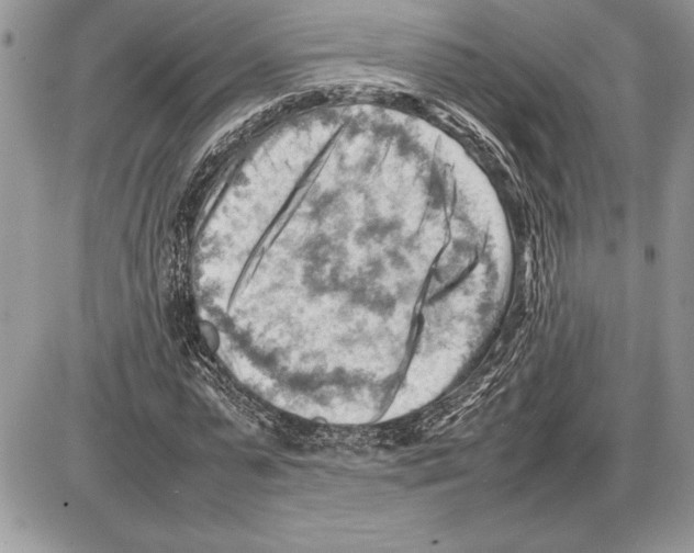 X0000085750775200704131710