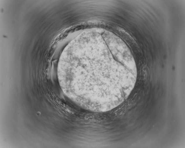 X0000085750776200704131710