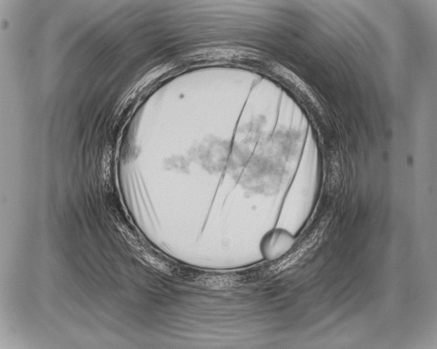 X0000085750778200704131710