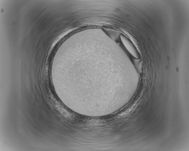 X0000085750779200704131710