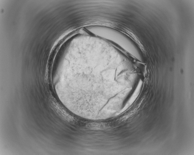 X0000085750780200704131710