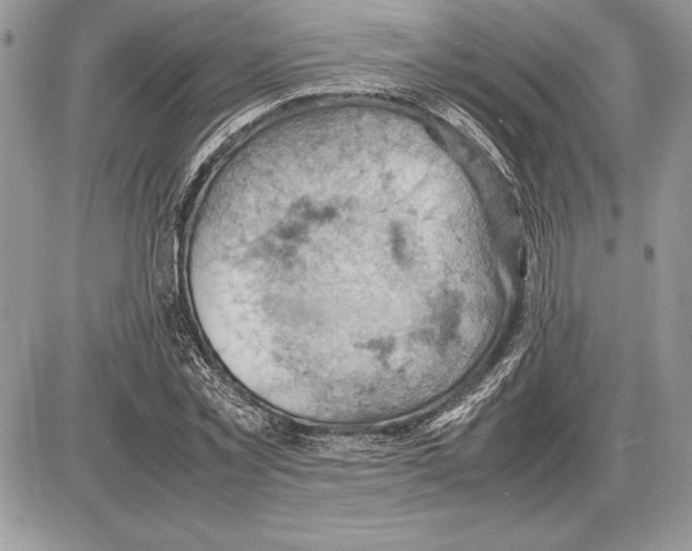 X0000085750781200704131710