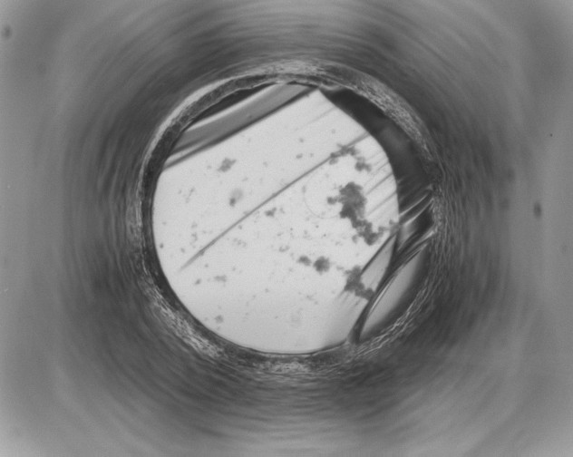 X0000085750784200704131710