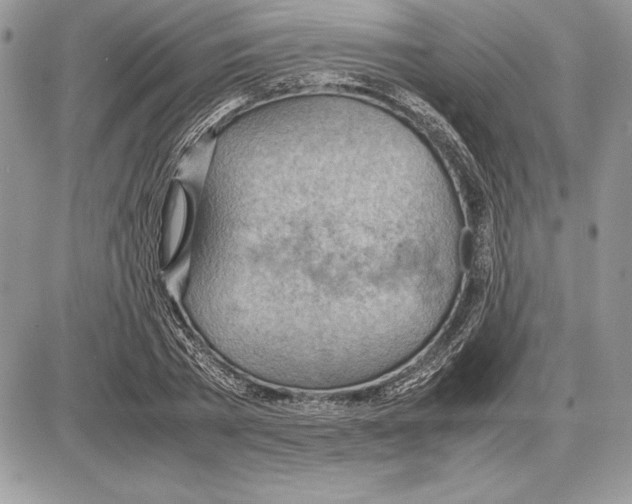 X0000085750785200704131710